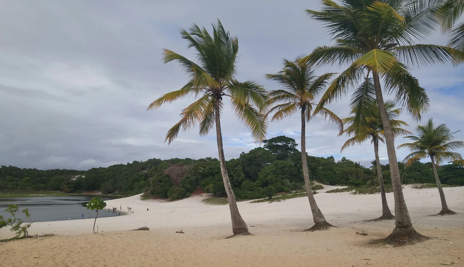 Lagoa do Abaeté, Itapuã — Salvador
